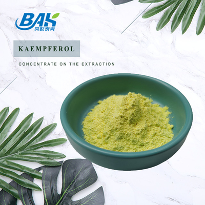 BAK Chất lượng cao Cas 520-18-3 bổ sung tăng cường miễn dịch Bột Kaempferol 50% 90% 98%