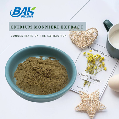 80% Osthole Womens Health Supplement Bột chiết xuất Cnidium Monnieri