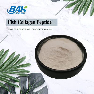 Quy mô da cá Collagen Peptide Bột màu vàng nhạt đến nâu 100 80 40 lưới