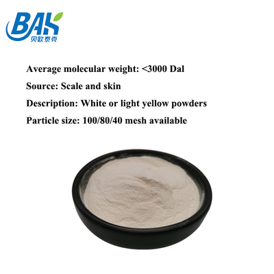 CAS 9064-67-9 Fish Collagen Peptide Powder Nguyên liệu mỹ phẩm