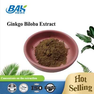 Chiết xuất Ginkgo Biloba tự nhiên Flavone Glycosides 24% Và Terpene Lactones 6%