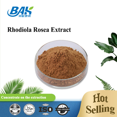 Bổ sung sức khỏe hữu cơ cho nam Rosavin 1% -10% Rhodiola Rosea L Chiết xuất bột màu nâu đỏ