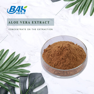 Bổ sung sức khỏe hữu cơ cho nam Rosavin 1% -10% Rhodiola Rosea L Chiết xuất bột màu nâu đỏ