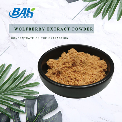 50% Polysaccharides Chiết xuất Wolfberry Bột mịn màu nâu chống oxy hóa