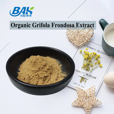 Chiết xuất Grifola Frondosa hữu cơ Beta Glucan 70% chiết xuất nấm bổ sung bột UV VIS