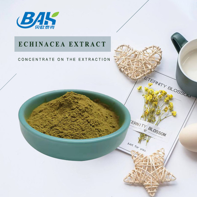 Chiết xuất Echinacea Bột màu vàng nâu