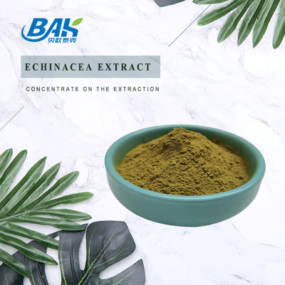 Chiết xuất Echinacea Bột màu vàng nâu
