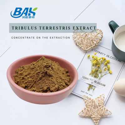 Bột chiết xuất Tribulus Terrestris tự nhiên giá tốt nhất