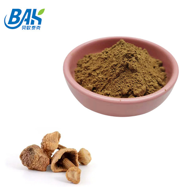 10% - 50% Polysaccharide Chiết xuất nấm bổ sung hữu cơ Agaricus Blazei chiết xuất