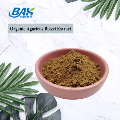 10% - 50% Polysaccharide Chiết xuất nấm bổ sung hữu cơ Agaricus Blazei chiết xuất