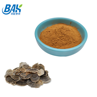 10% -50% chiết xuất từ ​​nấm đông cô đặc Bổ sung bột màu vàng nâu