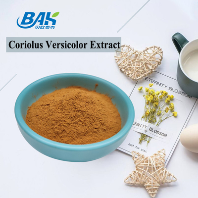 10% -50% chiết xuất từ ​​nấm đông cô đặc Bổ sung bột màu vàng nâu