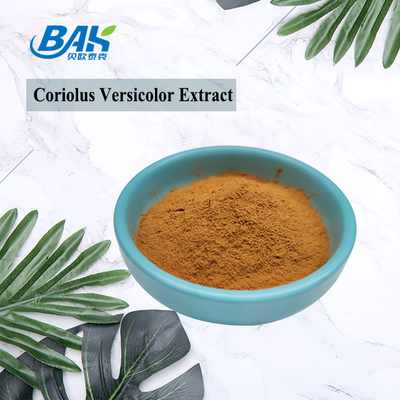 10% -50% chiết xuất từ ​​nấm đông cô đặc Bổ sung bột màu vàng nâu