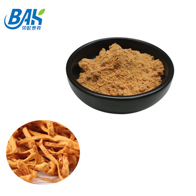 80 đến 120 Mesh Cordyceps Militaris chiết xuất bột nhà máy cung cấp