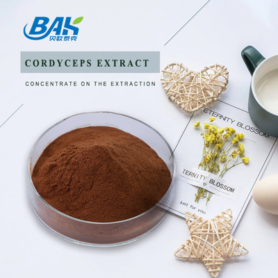 Cordycepin 5% 10% 20% Bổ sung sức khỏe cho nam giới Chiết xuất đông trùng hạ thảo Bột màu nâu