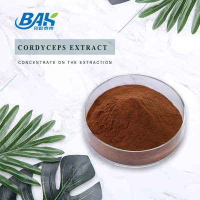 Cordycepin 5% 10% 20% Bổ sung sức khỏe cho nam giới Chiết xuất đông trùng hạ thảo Bột màu nâu