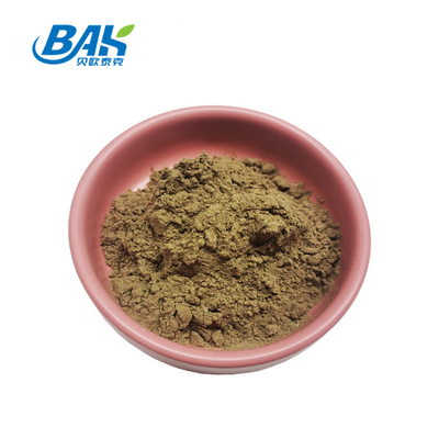 Chiết xuất Ajuga Turkestanica 2% -20%