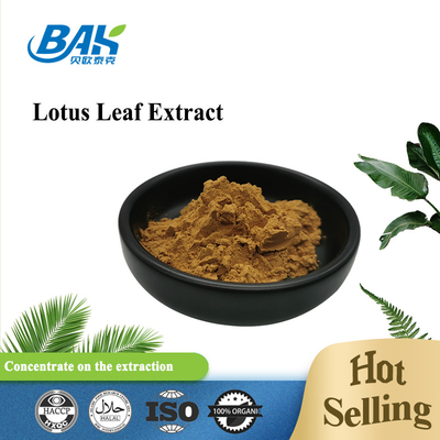 Bột bổ sung giảm cân chiết xuất lá sen