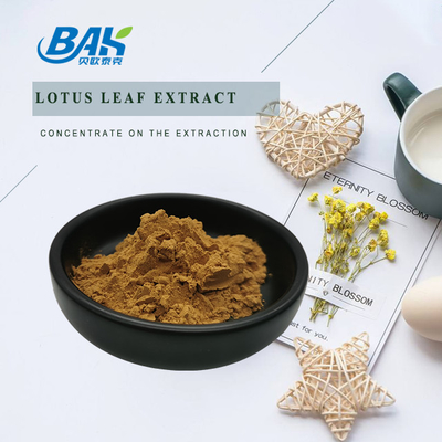 Bột bổ sung giảm cân chiết xuất lá sen