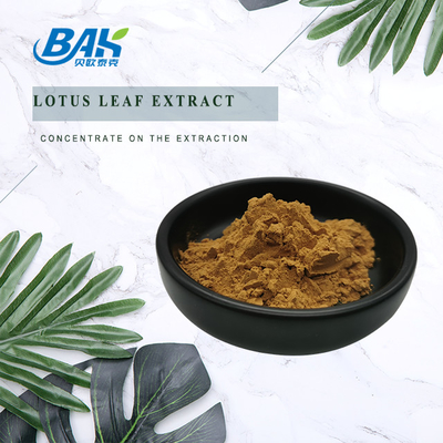 Bột bổ sung giảm cân chiết xuất lá sen