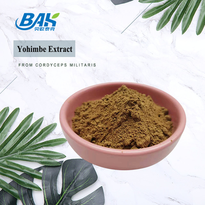5% -98% Yohimbe Extract 100% Pass 80 Mesh Corynanthe Yohimbe L Bột màu vàng nâu