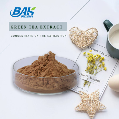 Polyphenol 10% - 98% chiết xuất trà xanh bột Cas 84650-60-2