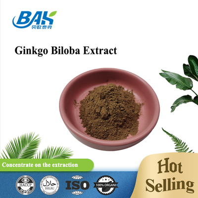Chiết xuất Ginkgo Biloba Flavone Glycosides 24% Terpene Lactories 6%