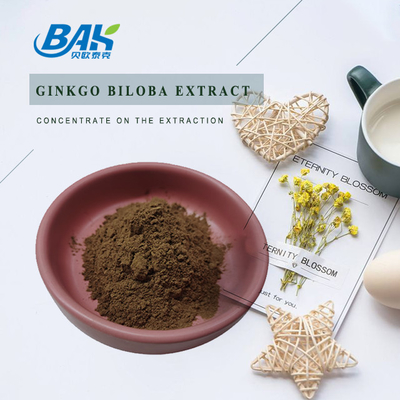 Chiết xuất Ginkgo Biloba tự nhiên Flavone Glycosides 24% Và Terpene Lactones 6%