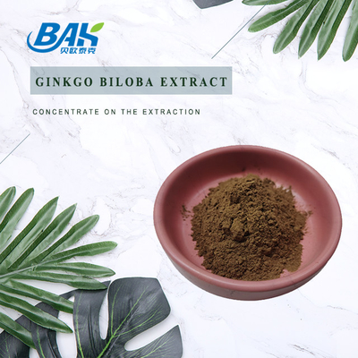Chiết xuất bạch quả Flavone Glycoside 24% Terpene Lactories 6%