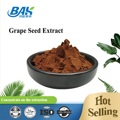 OPC Polyphenol Anthocyanin Chiết xuất hạt nho Bột màu nâu đỏ