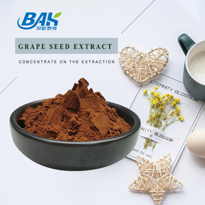 OPC Polyphenol Anthocyanin Chiết xuất hạt nho Bột màu nâu đỏ