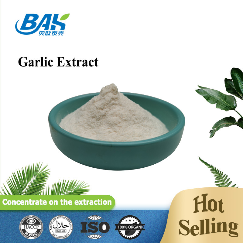 chiết xuất tỏi chất lượng cao 1% 2% 3% bột allicin trong kho chiết xuất tỏi với các mẫu miễn phí để bán