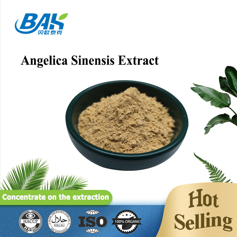 Nhà máy chuyên nghiệp Trung Quốc Dang Gui Angelica Sinensis Dong Quai Extract Root Bột Angelica Dahurica Extract