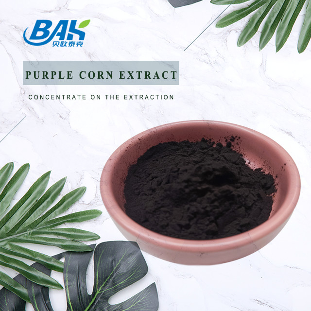 Nhà máy BAK bán buôn Anthocyanin 35% Zea Mays Chất chiết xuất ngô màu tím bột màu tím