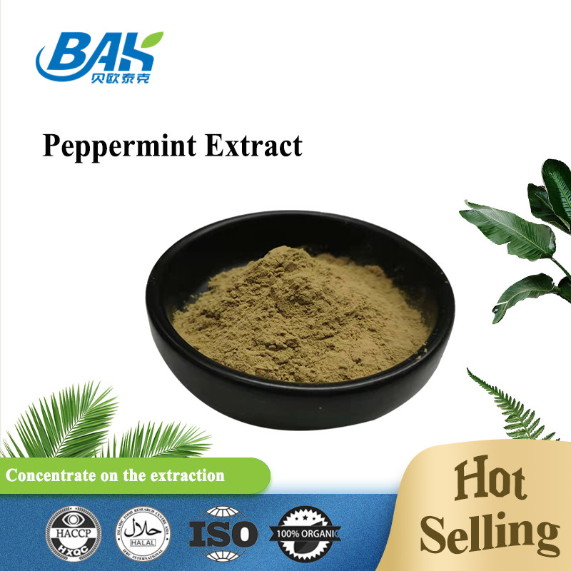 Nhà máy bán buôn chiết xuất bạc hà tinh khiết bổ sung tăng cường miễn dịch Mentha Haplocalyx Briq Brown Powder