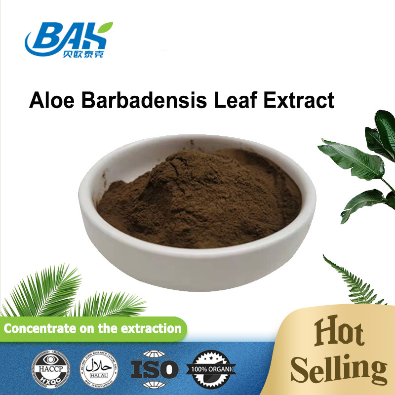 100/1 200/1 Aloe Barbadensis Leaf Extract Cas 85507-69-3 Bột mịn màu nâu