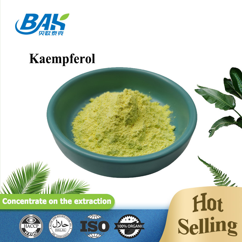 BAK Chất lượng cao Cas 520-18-3 bổ sung tăng cường miễn dịch Bột Kaempferol 50% 90% 98%