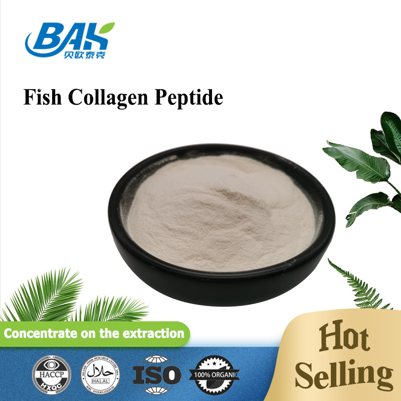 Quy mô da cá Collagen Peptide Bột màu vàng nhạt đến nâu 100 80 40 lưới
