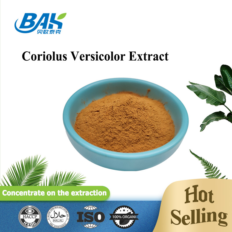 10% -50% chiết xuất từ ​​nấm đông cô đặc Bổ sung bột màu vàng nâu