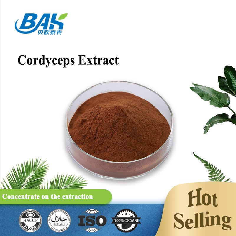 Cordycepin 5% 10% 20% Bổ sung sức khỏe cho nam giới Chiết xuất đông trùng hạ thảo Bột màu nâu
