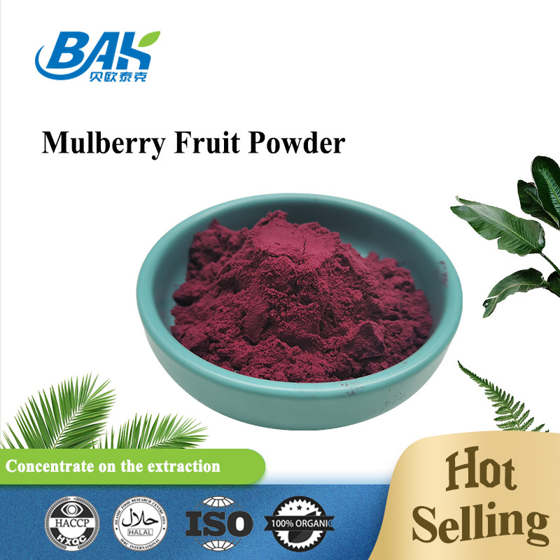 Organic Morus Alba L Mulberry Fruit Bột màu tím Chất chứa ở nơi mát mẻ và khô